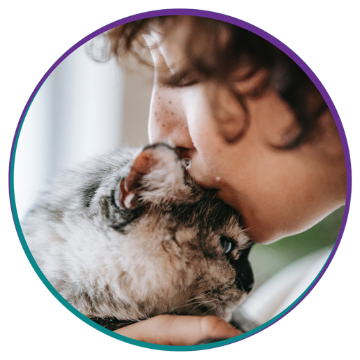 Veterinarian in New Stanton Vets Near Me New Stanton Veterinary Service