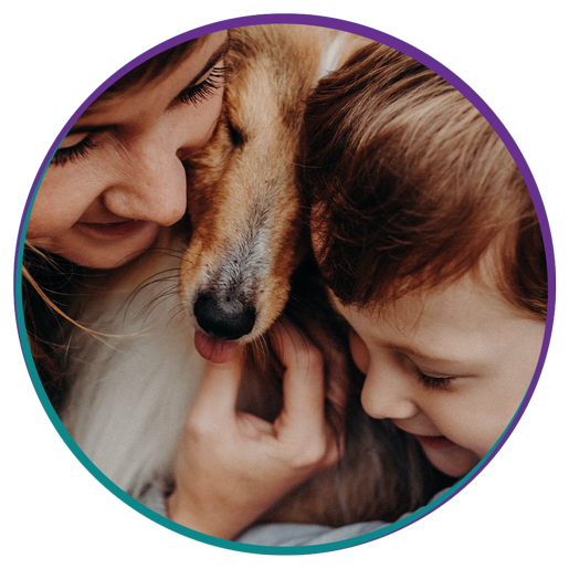 Veterinarian in New Stanton Vets Near Me New Stanton Veterinary Service