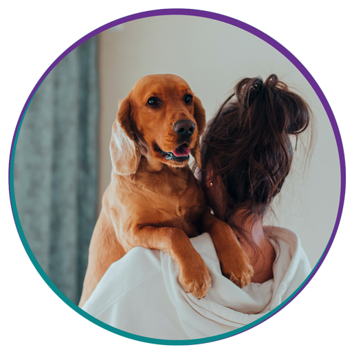 Veterinarian in New Stanton Vets Near Me New Stanton Veterinary Service