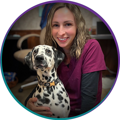 Team Vet in New Stanton New Stanton Veterinary Service